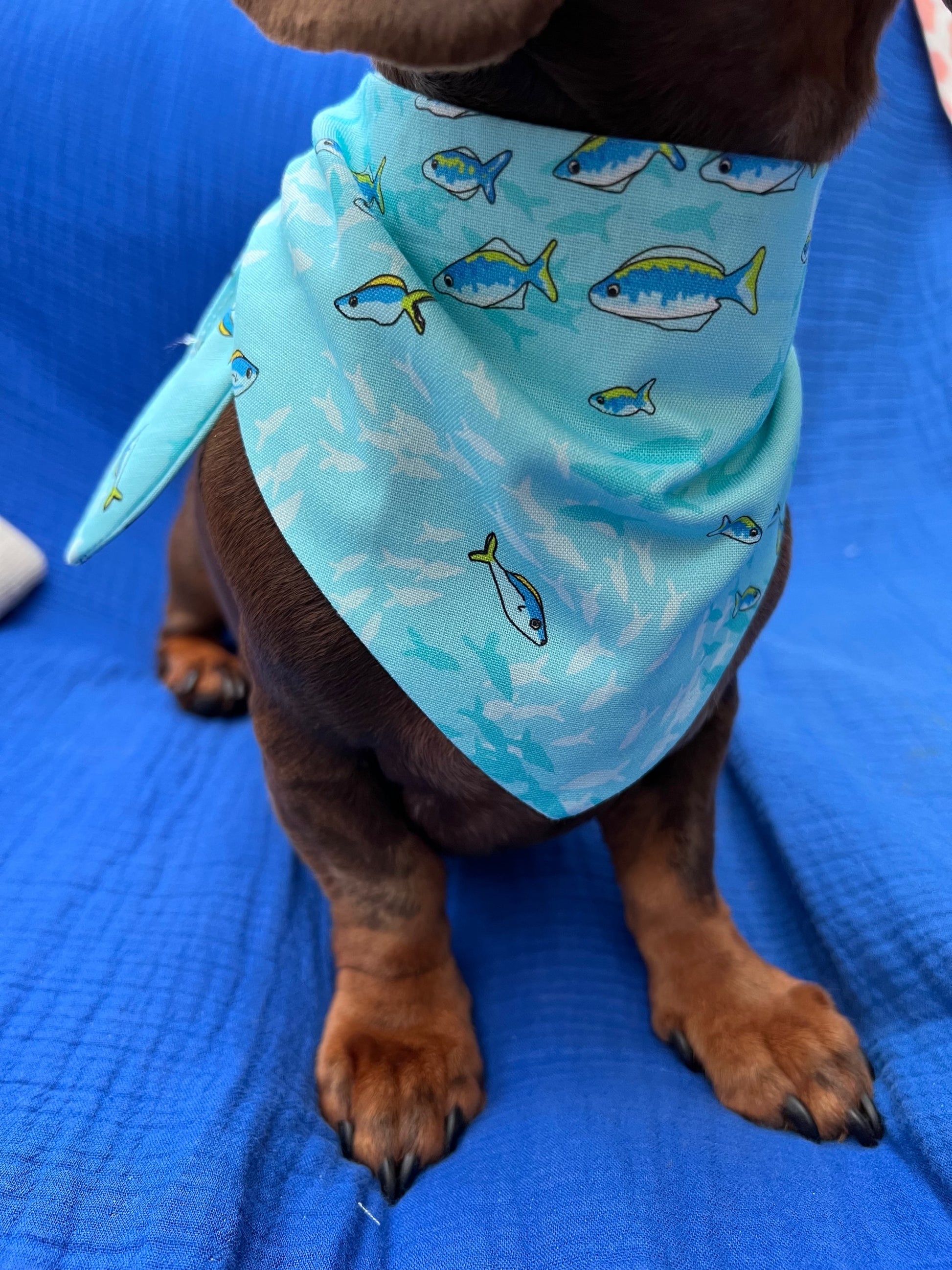 Multi pattern bandana image 0