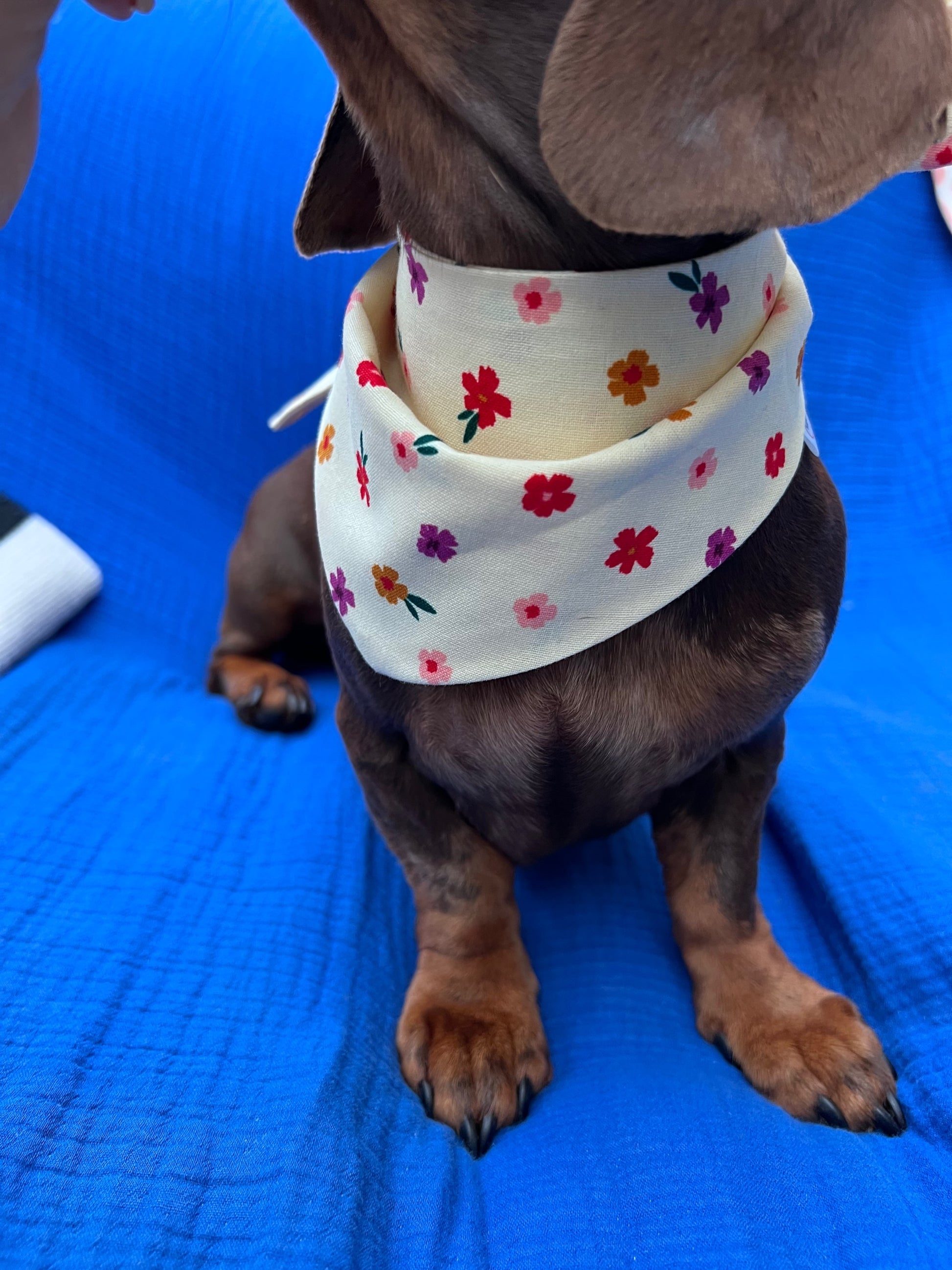 Floral bandanas image 0