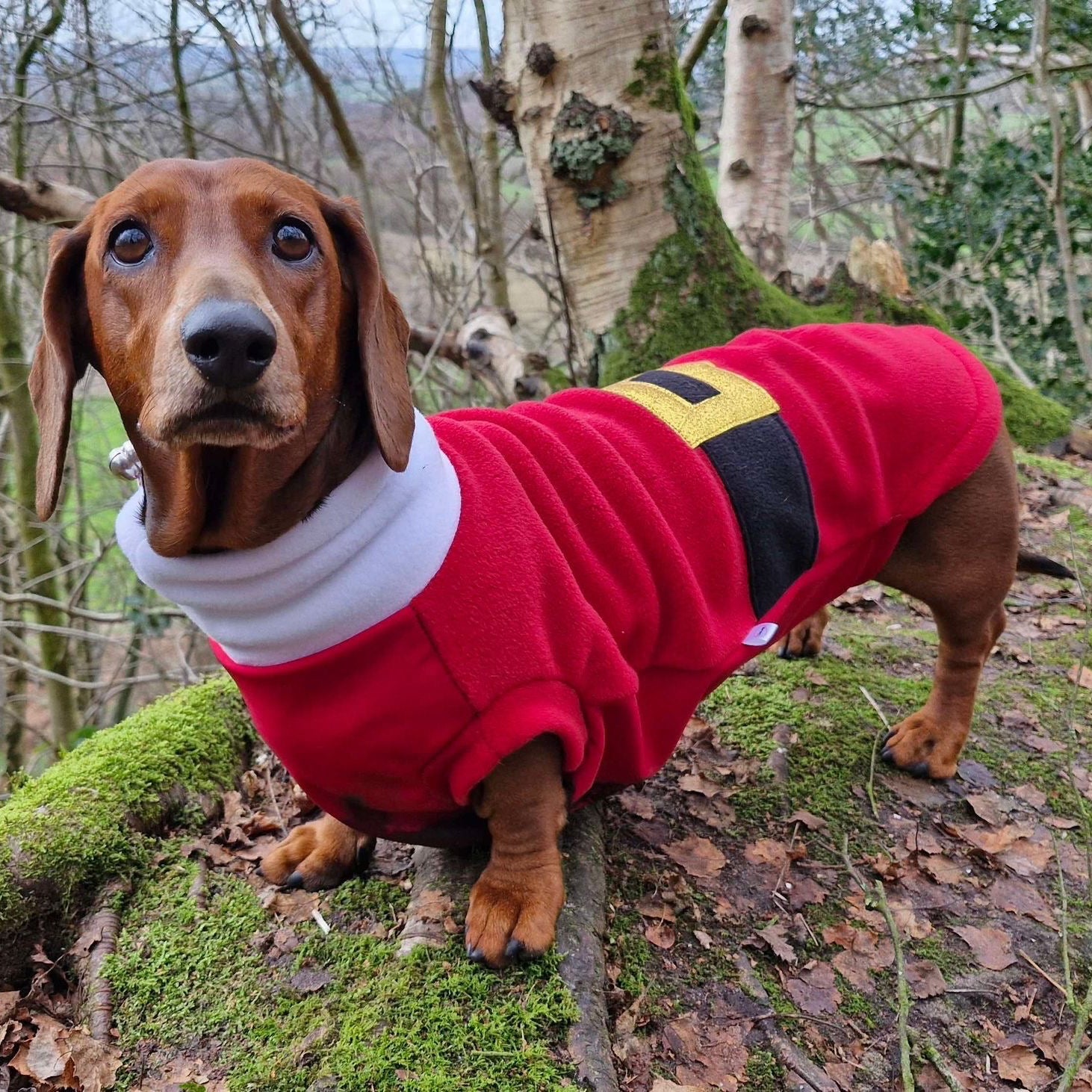 Extra small dachshund fleece Santa