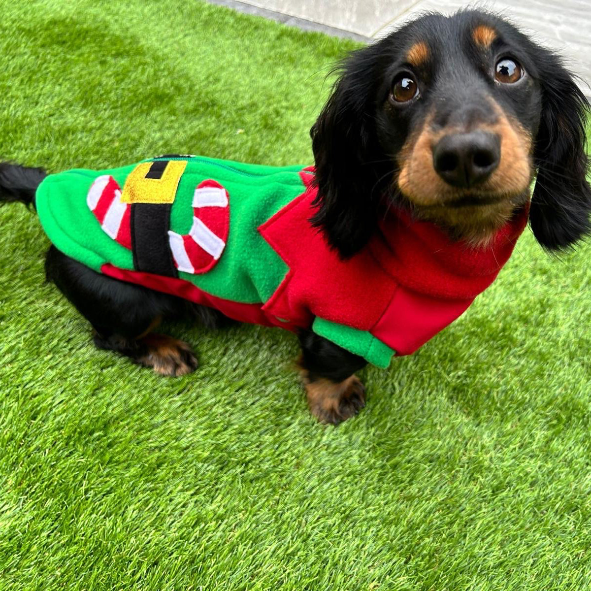 Extra small dachshund fleece elf