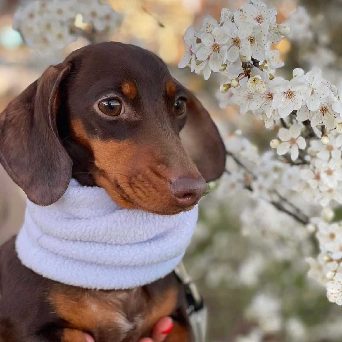 Girl's potluck snood image 0