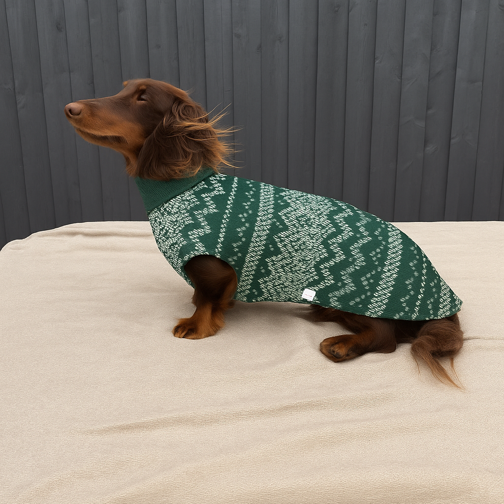 Small dog wearing a green sweater on a beige surface with a wooden background