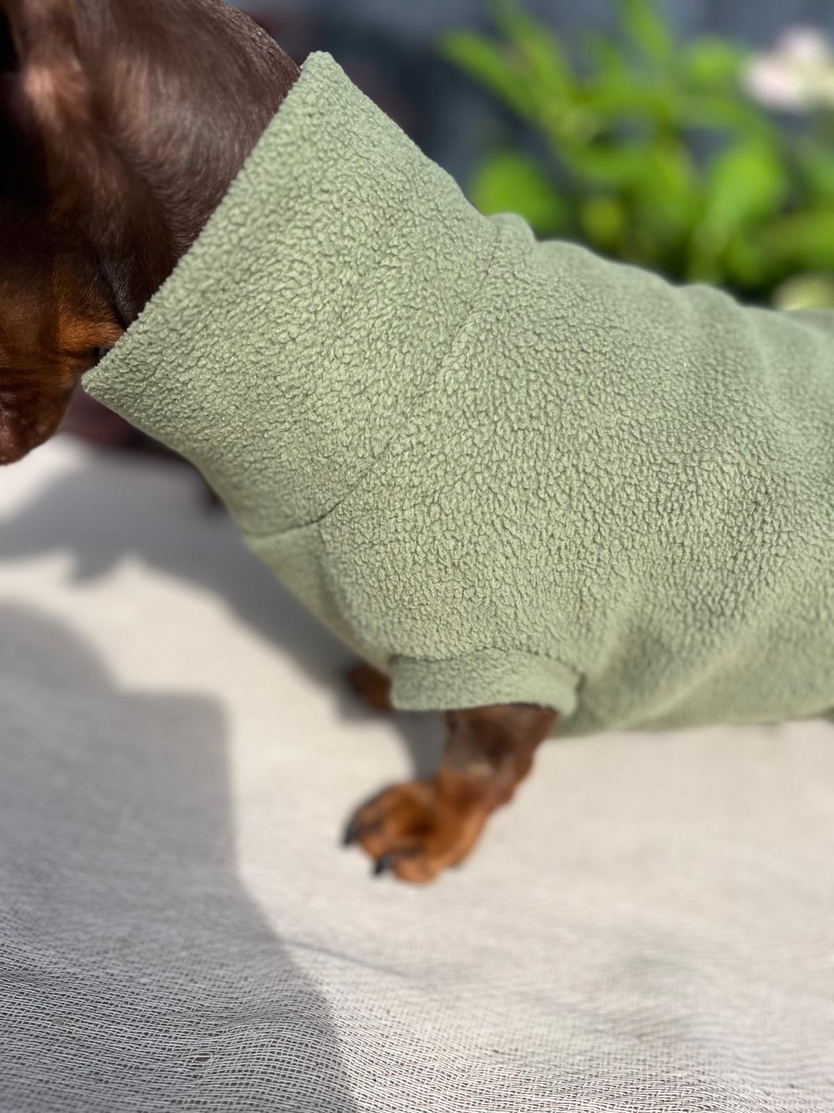 Dog wearing a green fleece coat with a blurred natural background