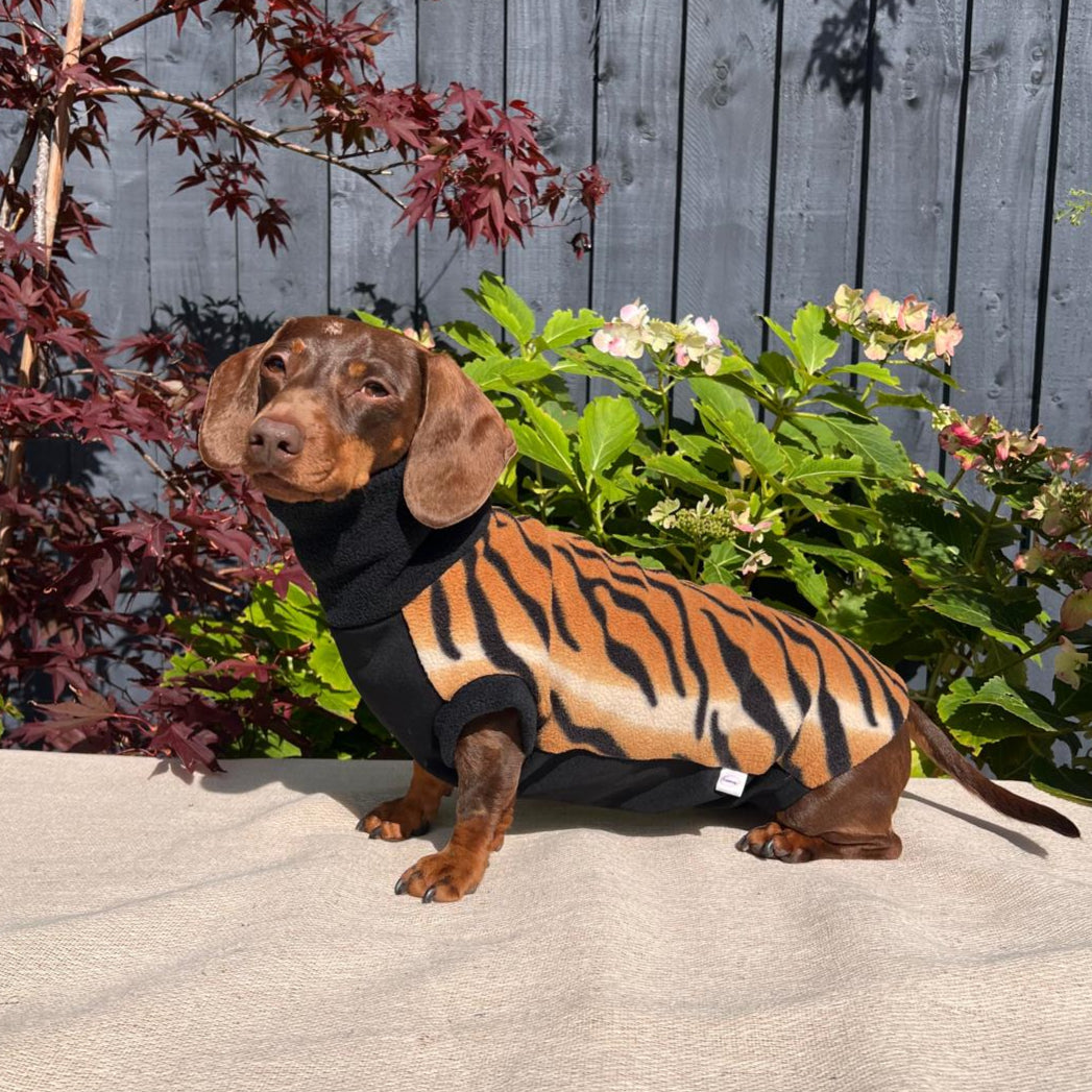 Dog wearing a tiger-striped costume sitting on a stone surface with a wooden fence and plants in the background.