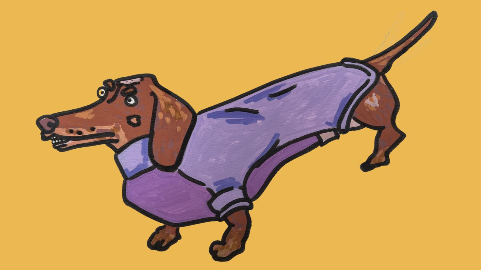 Cartoon dachshund wearing a purple sweater on a yellow background