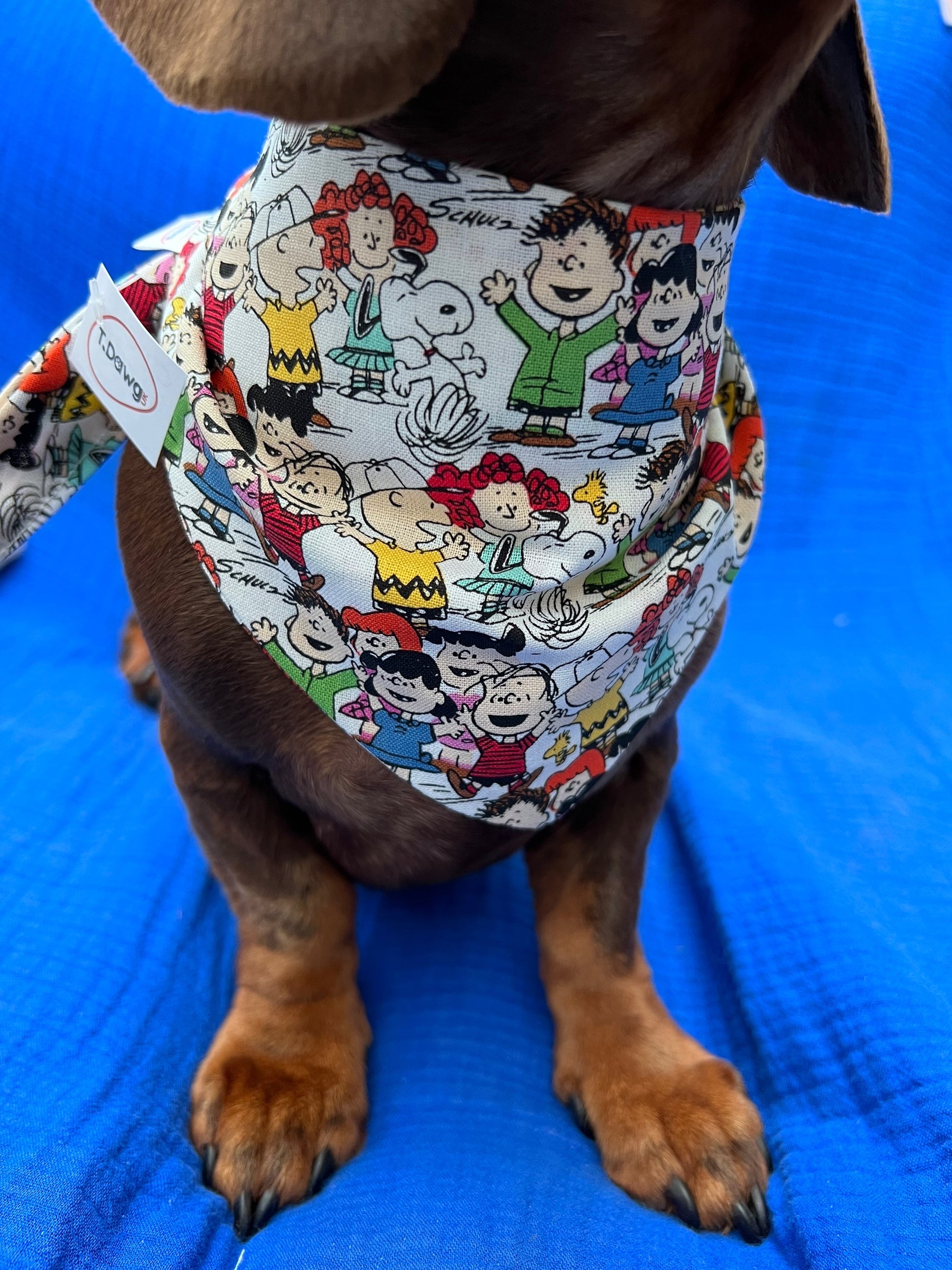 Multi pattern bandana image 1